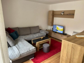 Apartman Plavsic